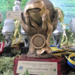 MIędzynarodowy Turniej NAKI - CUP 2013 - puchary i medale - 5
